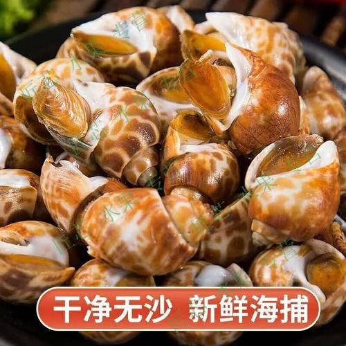 【顺丰】花螺鲜活海鲜超大香螺特大新鲜冷冻凤螺水产海猪螺 【五斤花螺-顺丰】 2500g 大号花螺【约30只每斤】