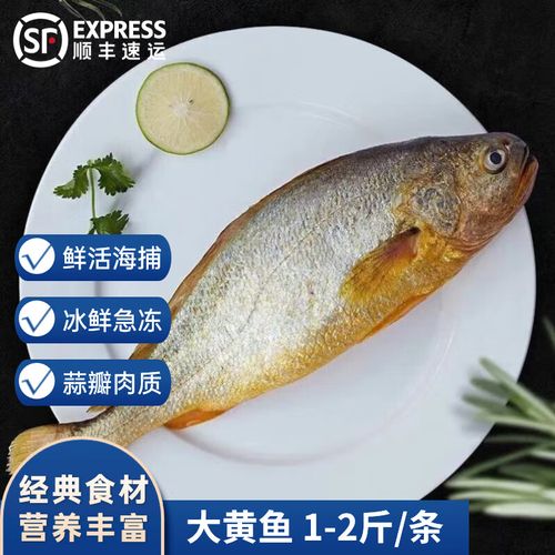 沢素湾 大黄花鱼 新鲜深海大黄鱼鲜活船冻海鲜水产鱼类生鲜中秋节送
