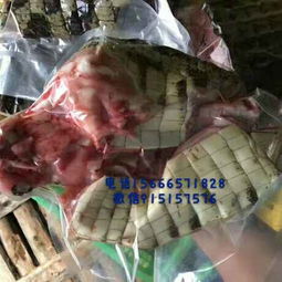 北京鳄鱼养殖厂冷冻肉价格及冷冻水产品市场分析