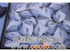 鲜活冷冻水产品招商，共赢幸福海产新蓝海——记文登市泽库镇海鑫冷藏厂安康鱼片项目